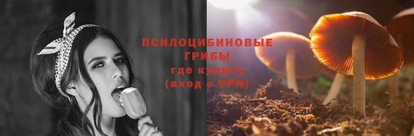 ГАЛЛЮЦИНОГЕННЫЕ ГРИБЫ Володарск