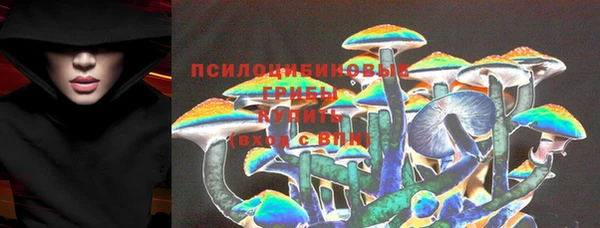 ГАЛЛЮЦИНОГЕННЫЕ ГРИБЫ Володарск