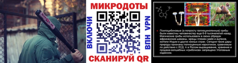 Галлюциногенные грибы GOLDEN TEACHER Купить закладки Гвардейск